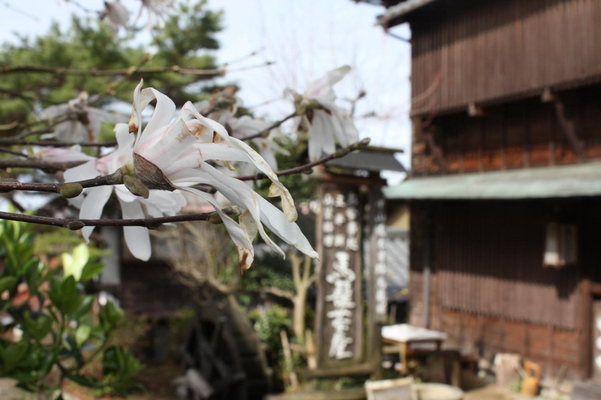 Готель Magome Chaya Накацуґава Екстер'єр фото