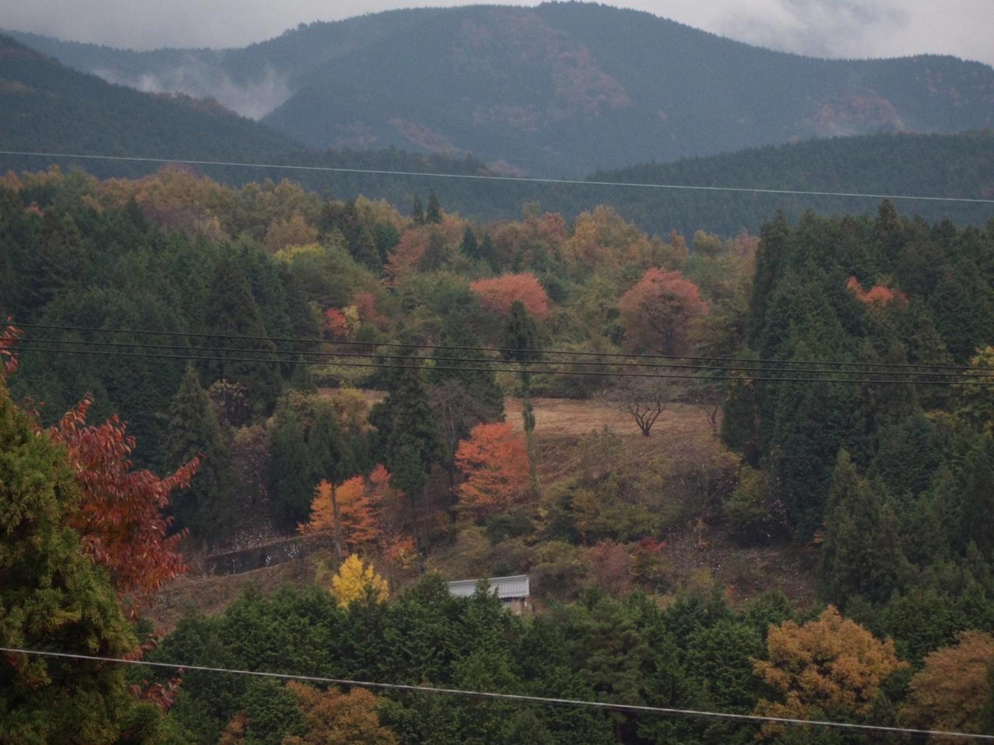 Готель Magome Chaya Накацуґава Екстер'єр фото